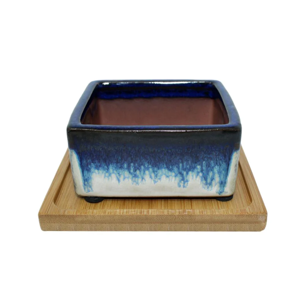 4" Cobalt Blue Over Cream Square Ceramic Succulent Pot With Decorative Bamboo Saucer - Image 1