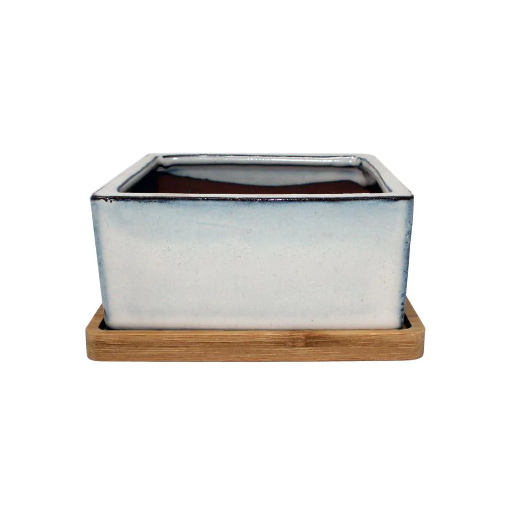 5″ White Diamond Square Ceramic Succulent Pot With Decorative Bamboo Saucer