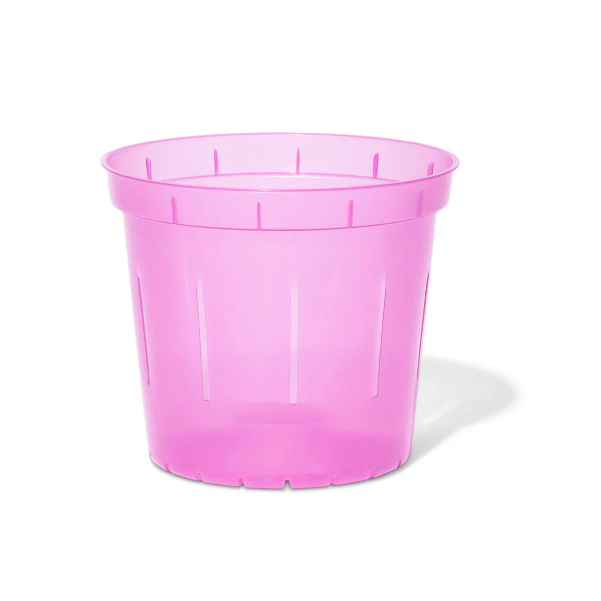 5″ Rose Quartz Slotted Orchid Pot