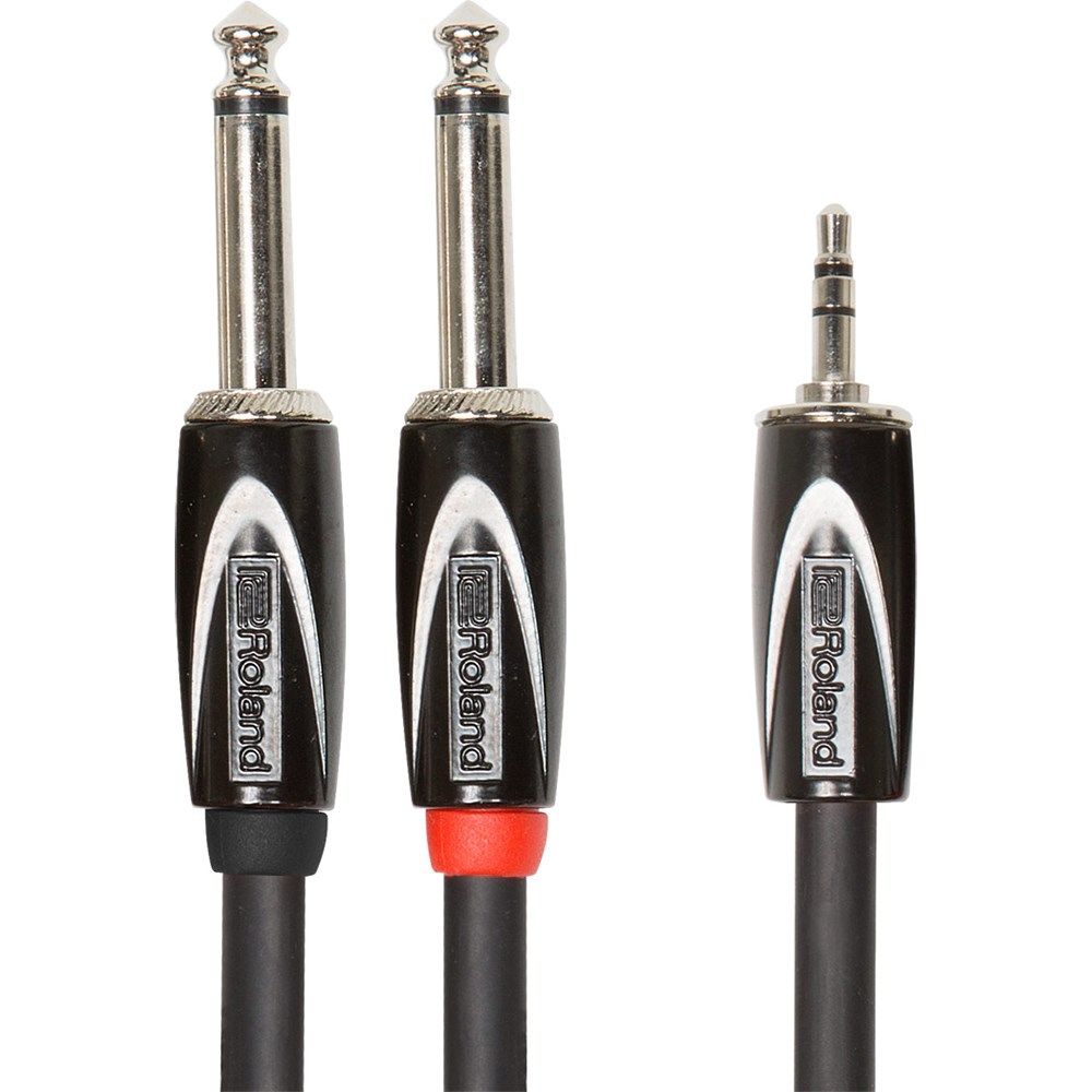 Roland RCC-10-3528V2 TRSmini to 2TS (10ft) Cable