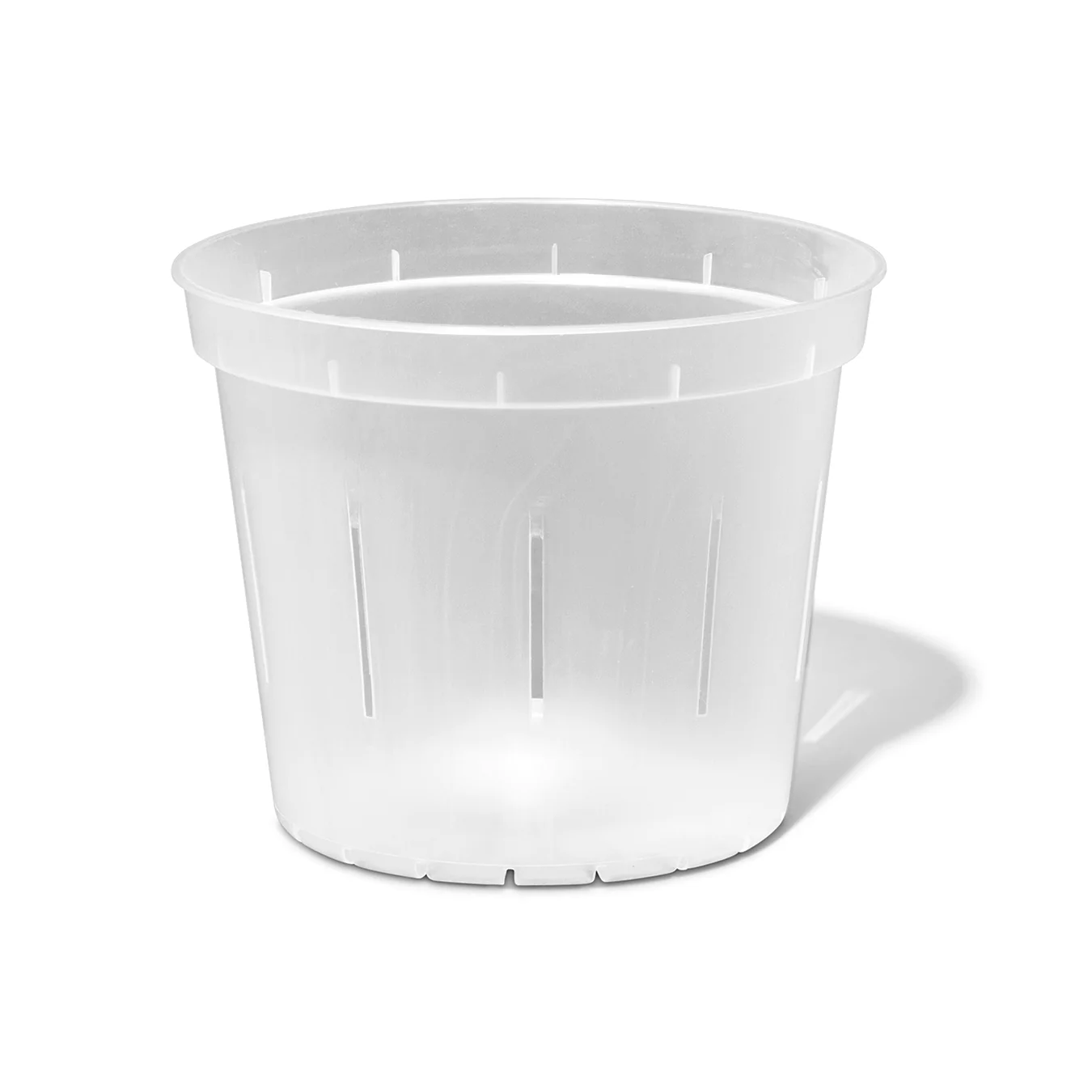 Crystal Clear Slotted Pot - Image 1