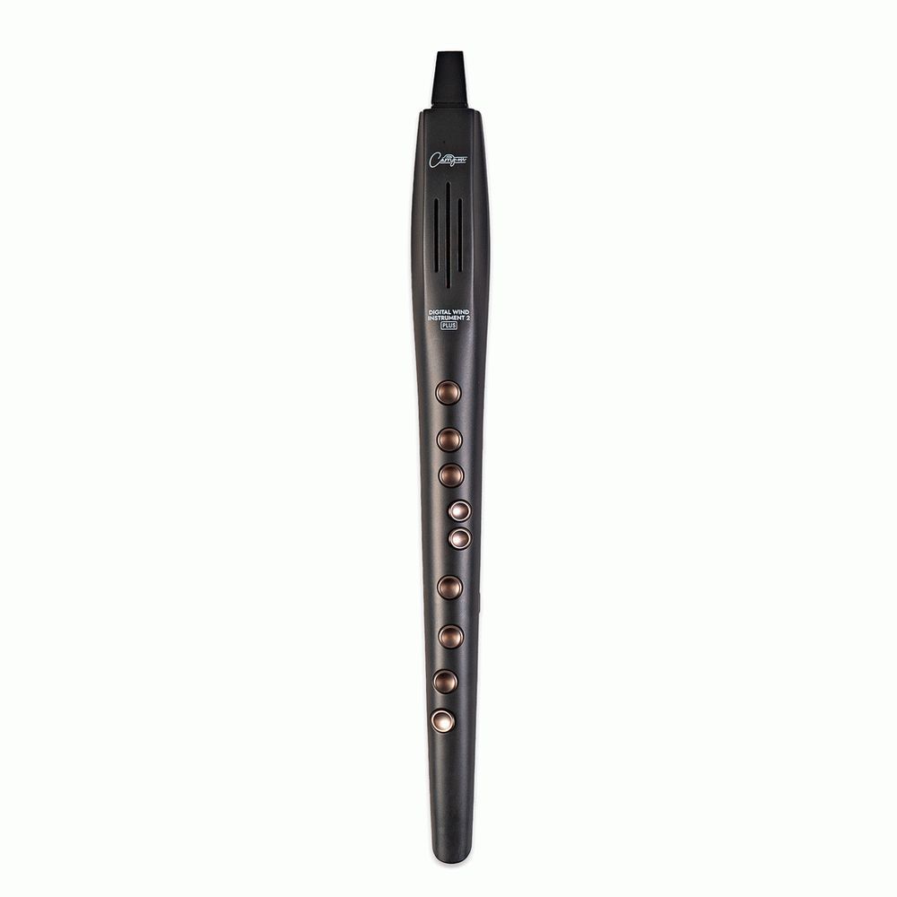 Carry-on Digital Wind Instrument Plus (Black) - Image 1