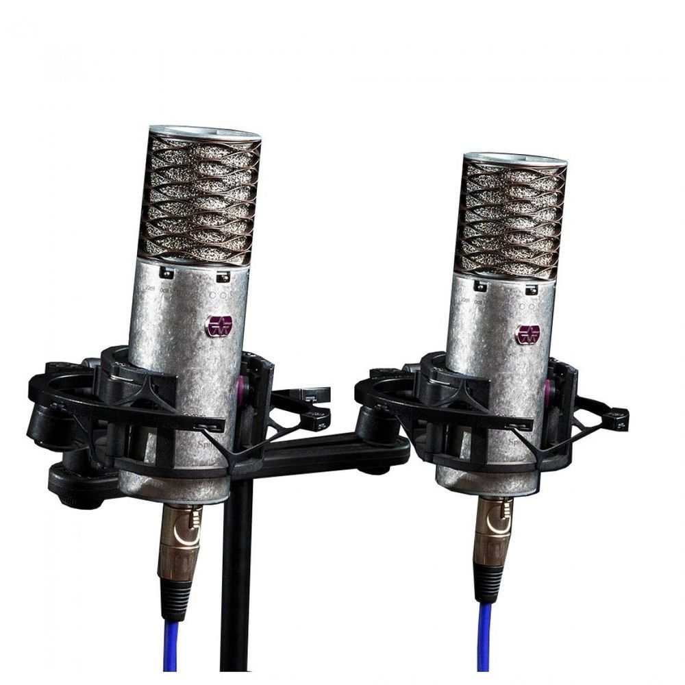 Aston Spirit Multi-Pattern Condenser Microphones Stereo Pair - Image 1