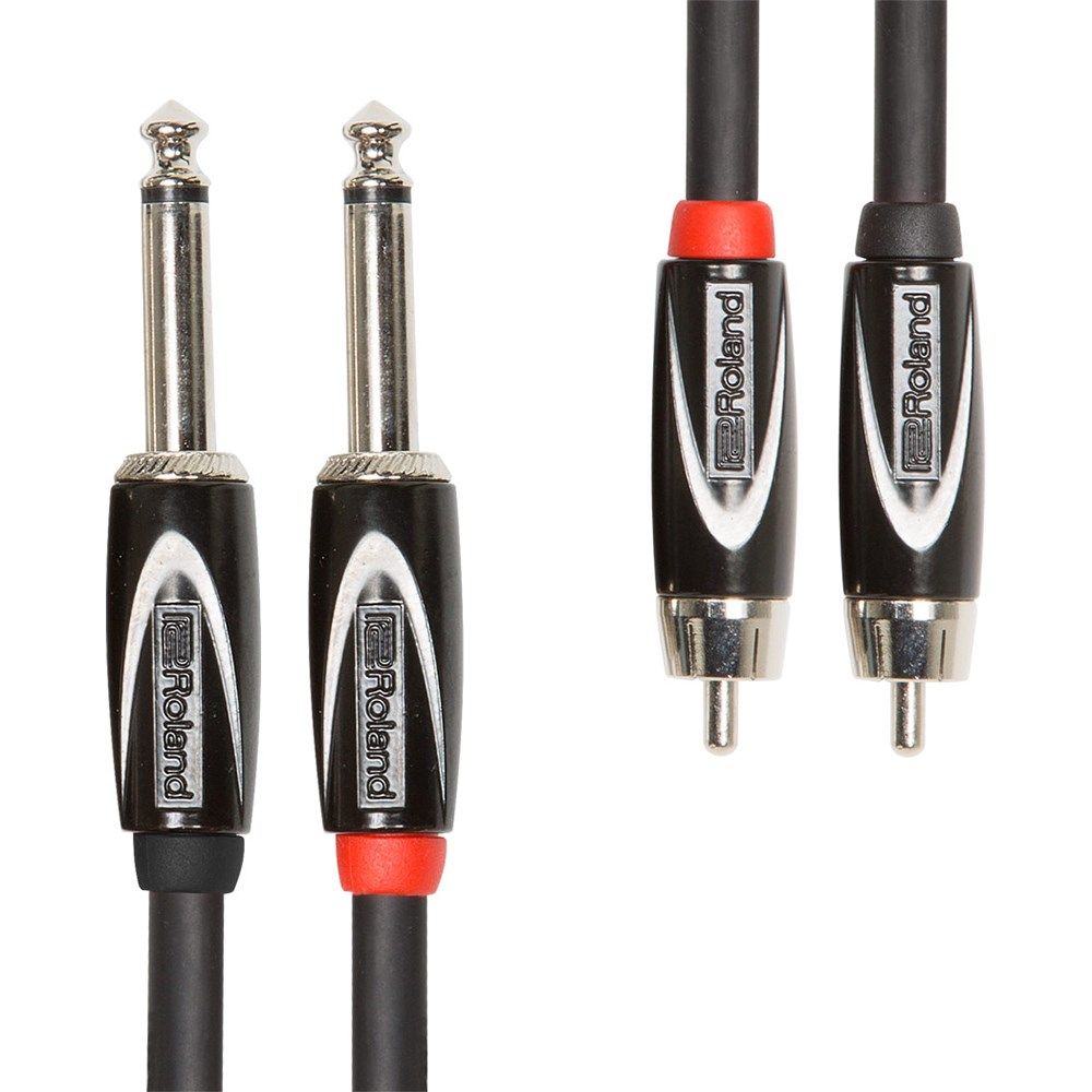 Roland RCC-10-2R28 2RCA to 2TS (10ft) Cable