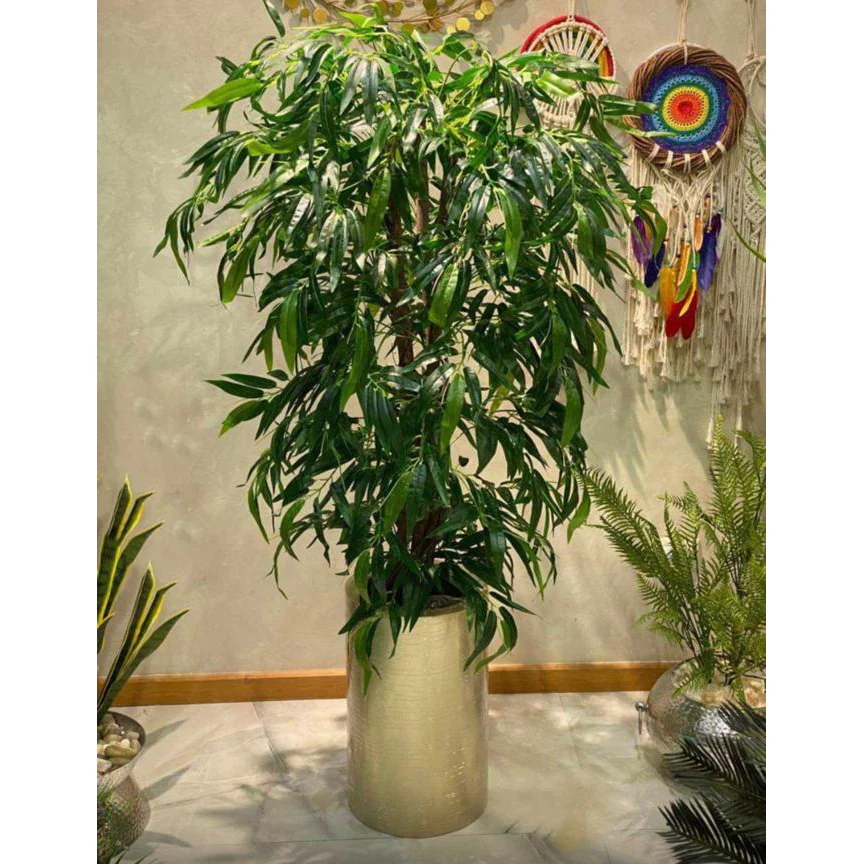 إناء زرع مع شجرة بامبو 170سم- FL118 - Image 1
