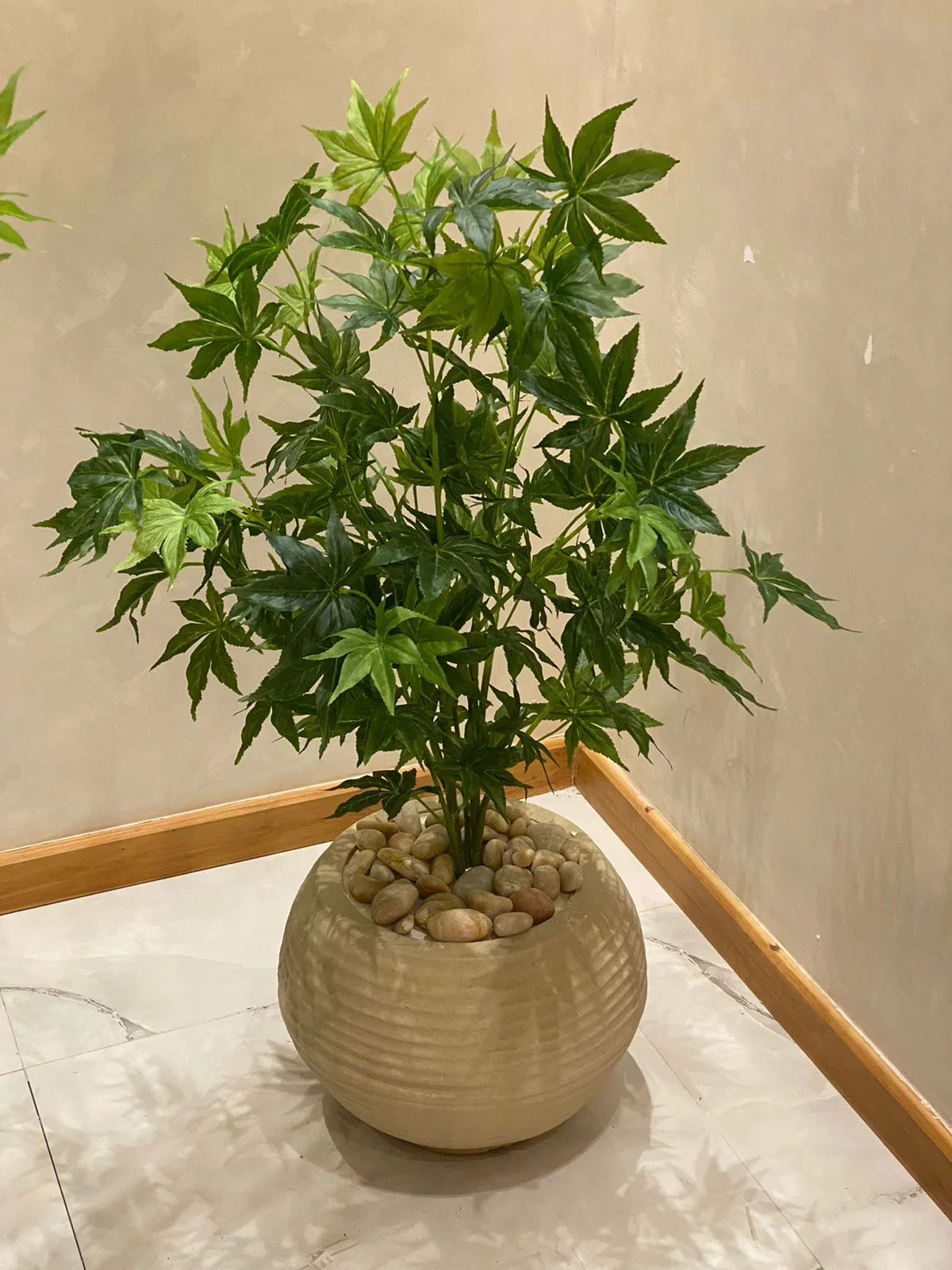إناء زرع مع شجرة خروع - FL99 - Image 1