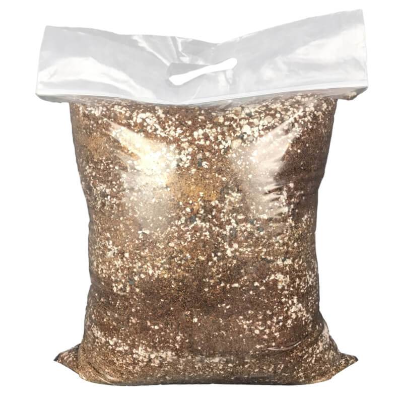 All Purpose Cactus and Succulent Classic Potting Mix - Image 2