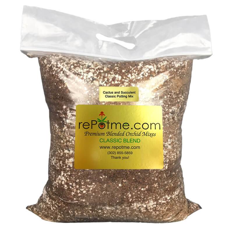 All Purpose Cactus and Succulent Classic Potting Mix - Image 1