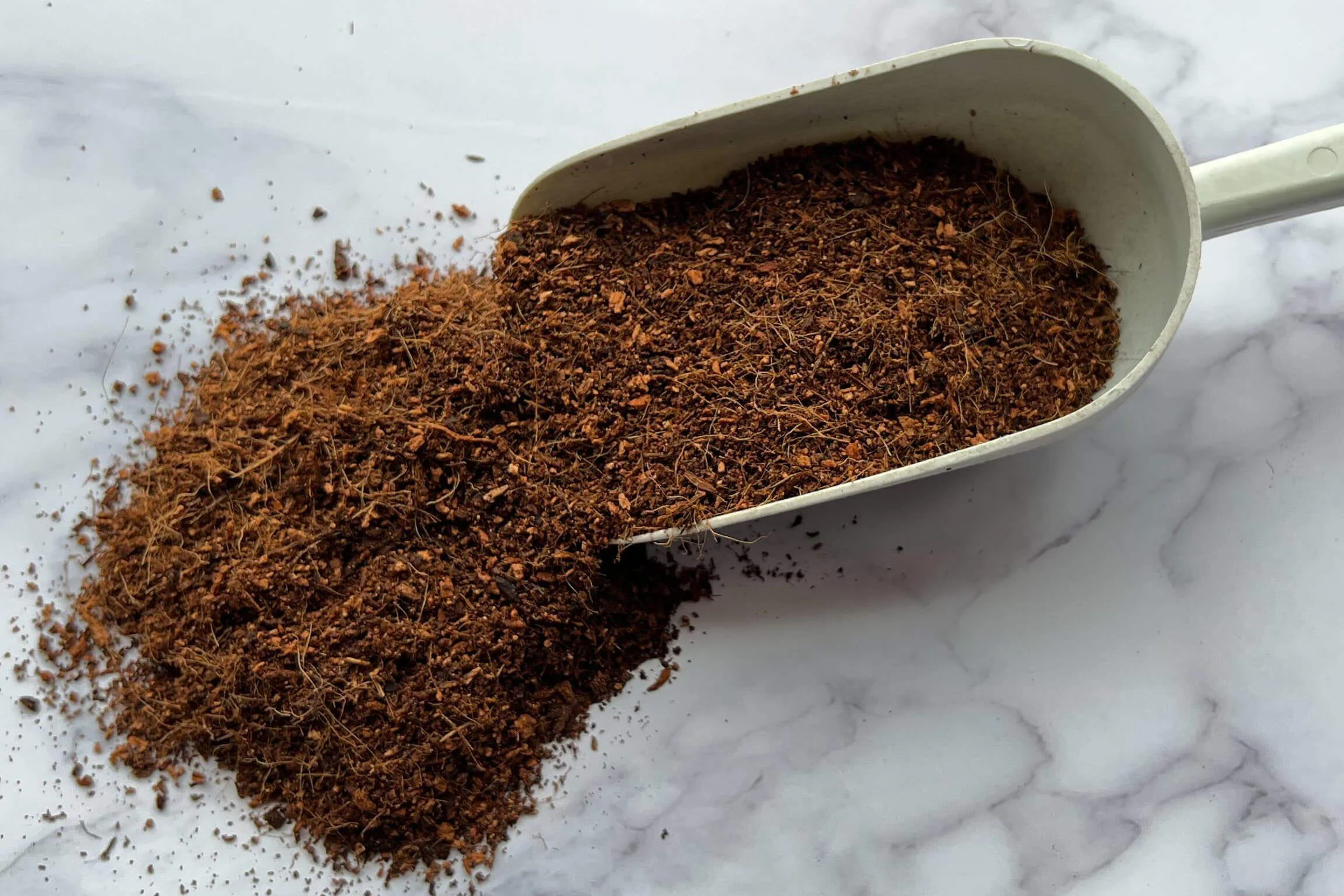 Premium Coconut Coir - Image 3