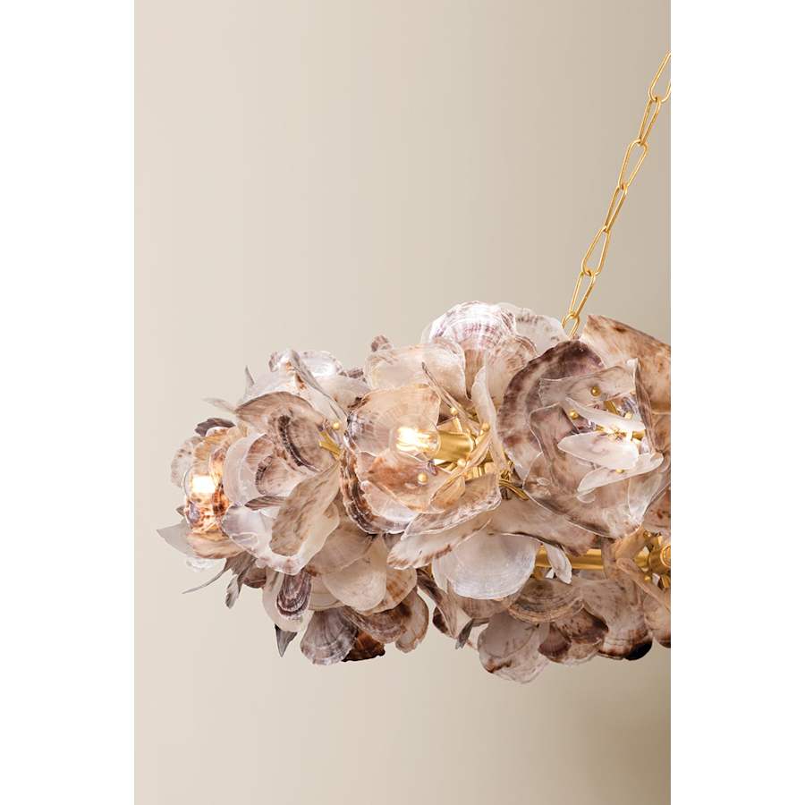 Corbett Lighting Galle 20 Light 54" Wide Abstract Chandelier with Oyster Shell Shades - Image 3