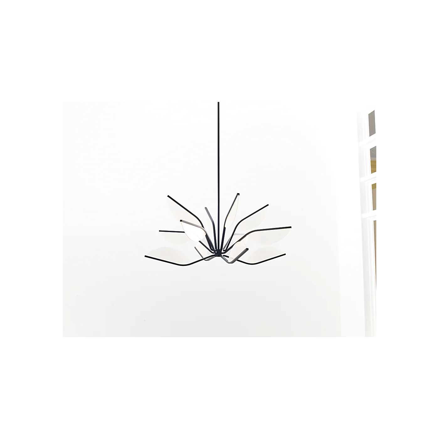 Belterra 38 Chandelier - Image 2