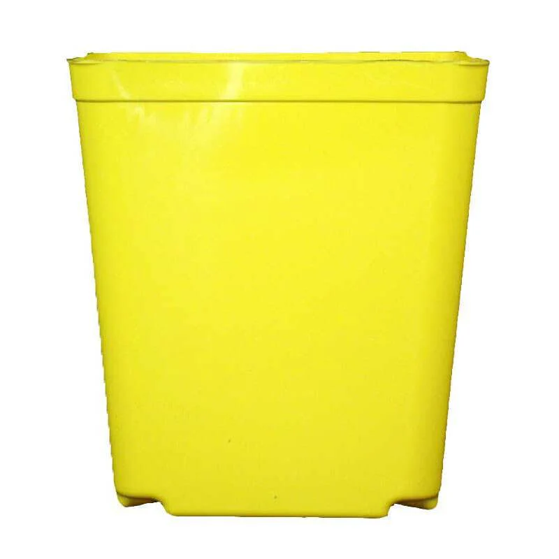 5.5″ Jumbo Yellow Square Orchid Pot