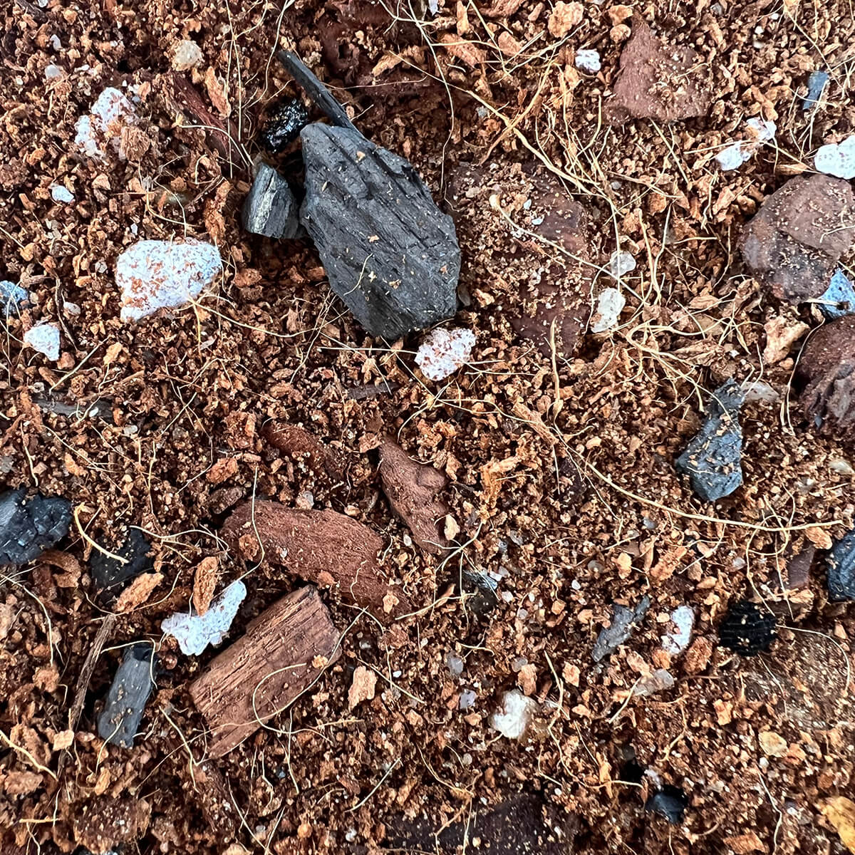 Money Tree Imperial Potting Soil Mix - Image 3