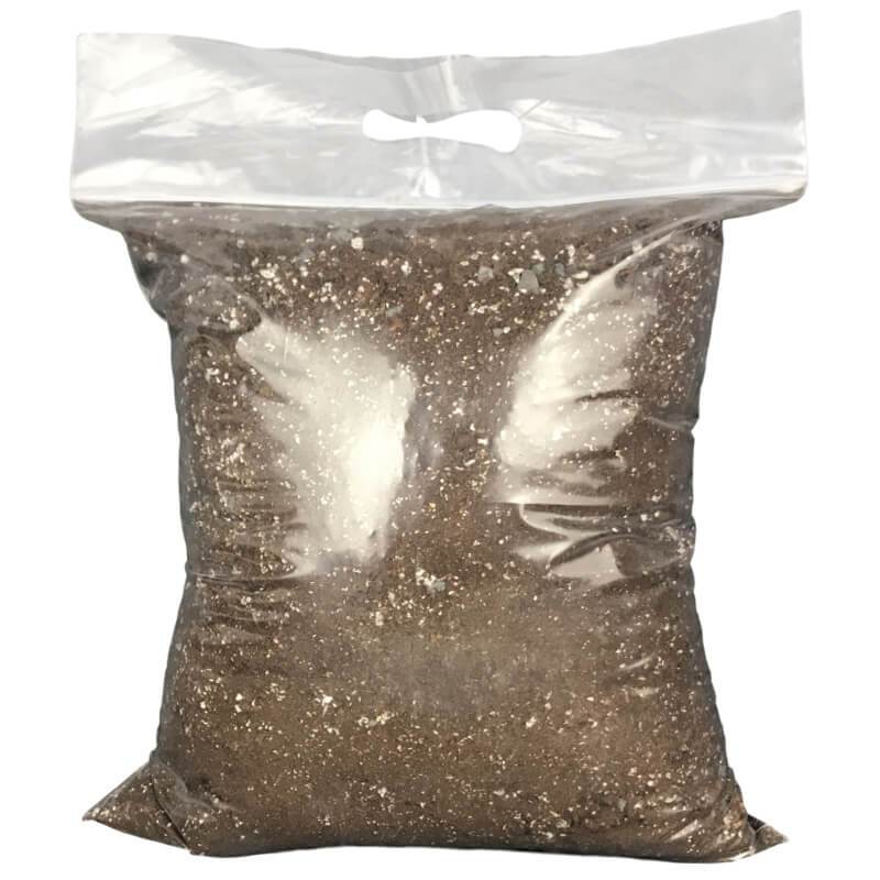 Terrestrial Imperial Orchid Mix - Image 2