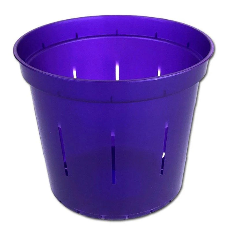 Purple Amethyst Slotted  Pot - Image 2
