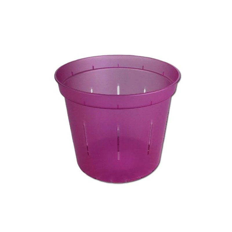Wild Orchid Slotted  Pot - Image 2