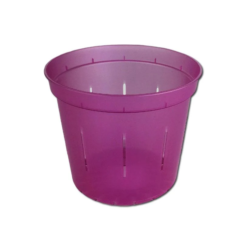 Wild Orchid Slotted  Pot - Image 3
