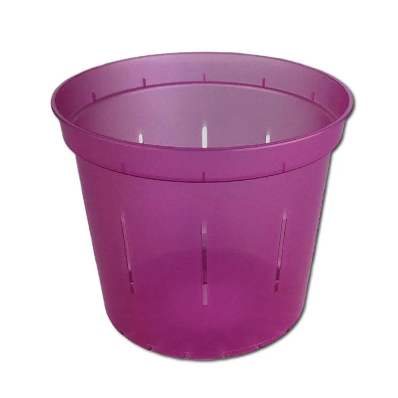 Wild Orchid Slotted  Pot - Image 1