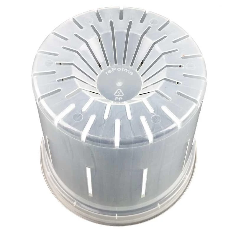 Crystal Clear Slotted Pot - Image 2