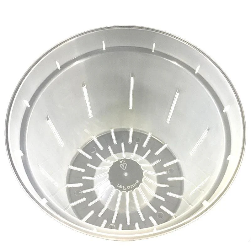 Crystal Clear Slotted Pot - Image 3