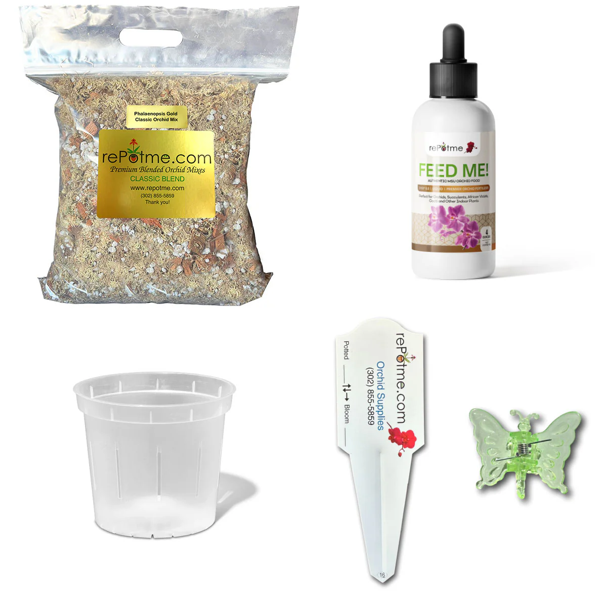 Phalaenopsis Gold/Orchid Moss Starter Kit - Image 3