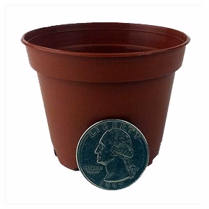 1.5" Miniature Plastic  Pot - Terracotta - Image 2
