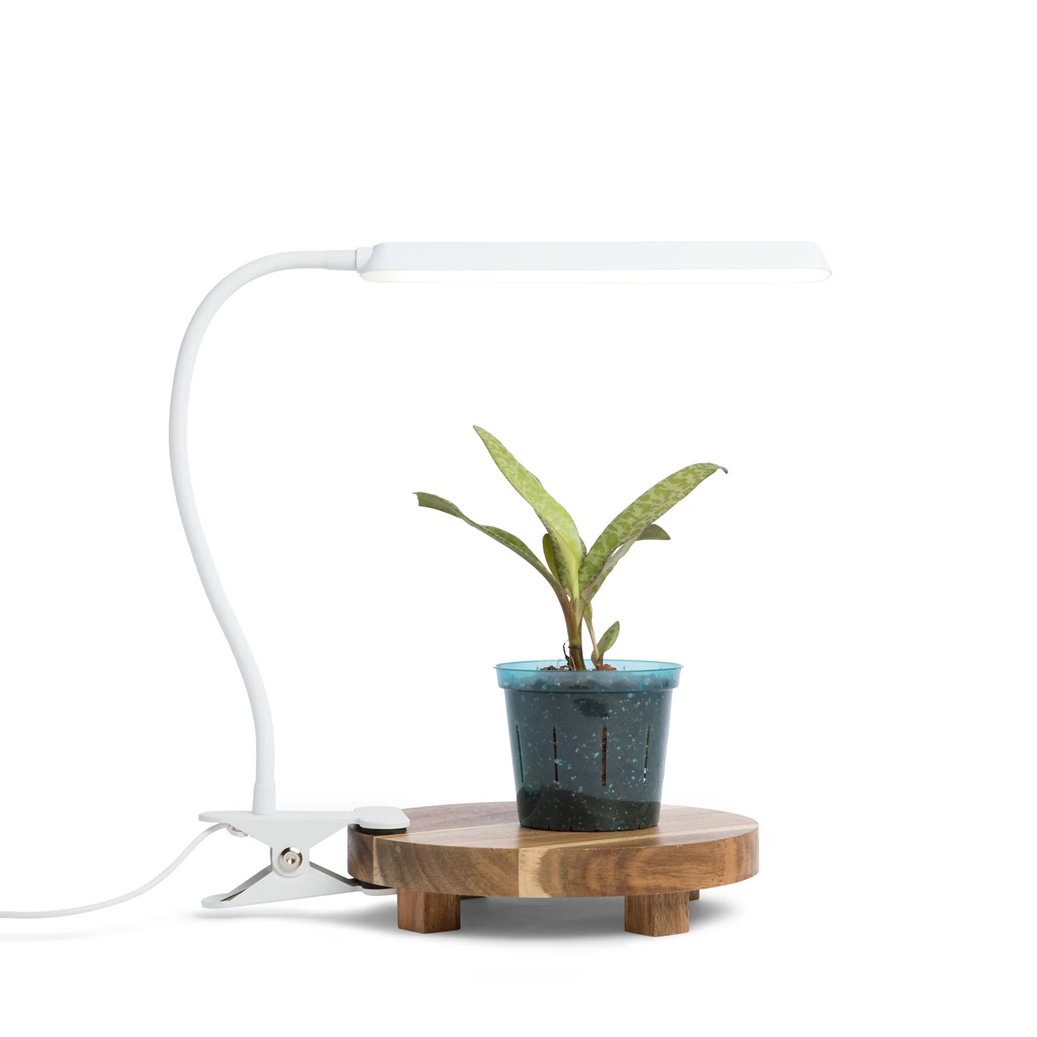 Lumina Latch – Full Spectrum LED Grow Light