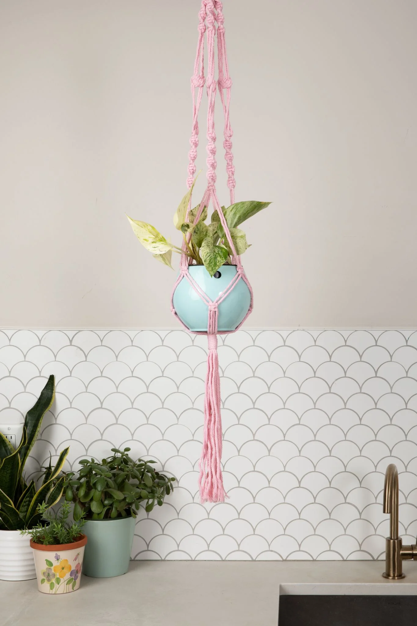 Macrame Hanger Self Watering Set - Rose Quartz + Ocean Blue - Image 2