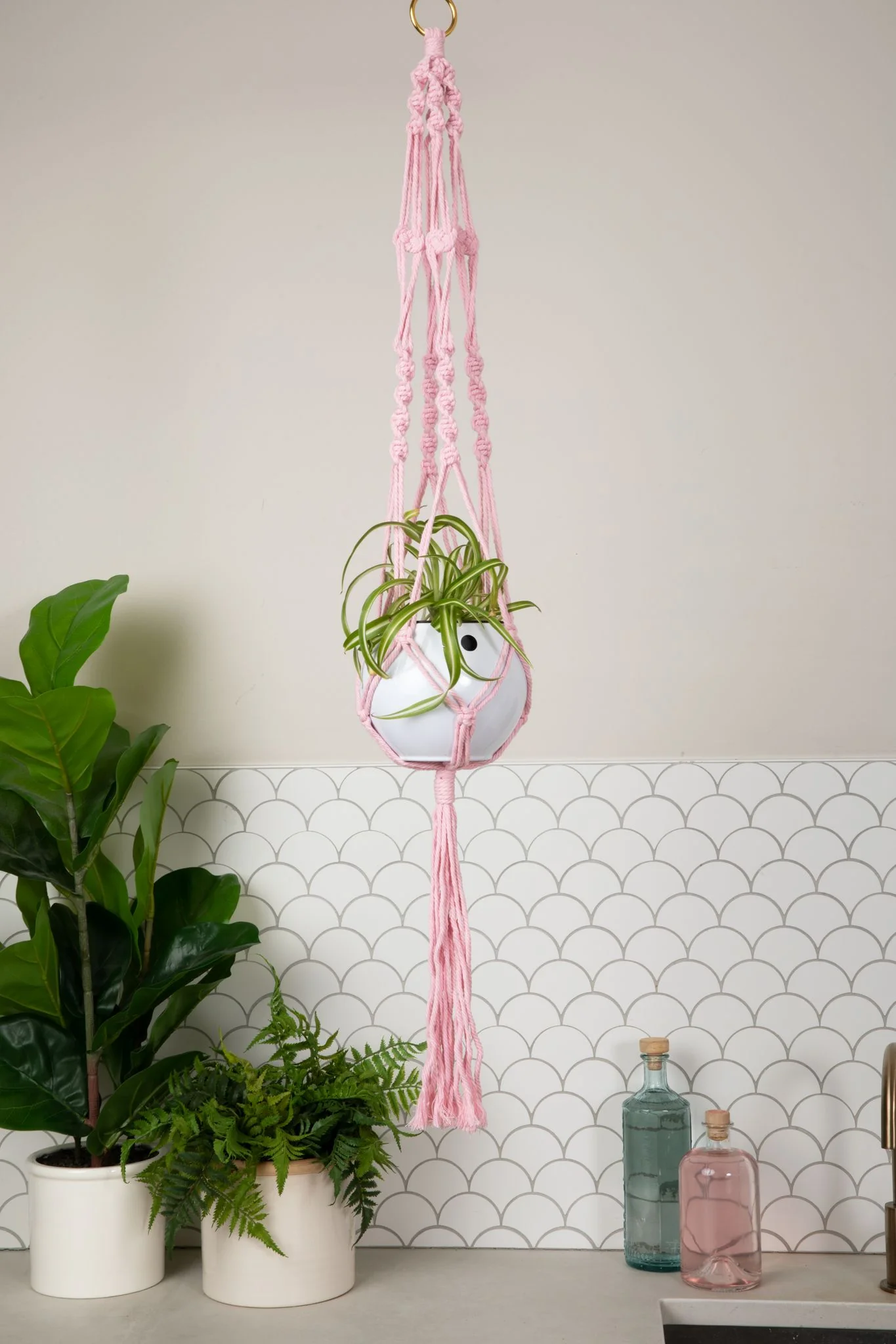 Macrame Hanger Self Watering Set - Rose Quartz + Designer White - Image 2