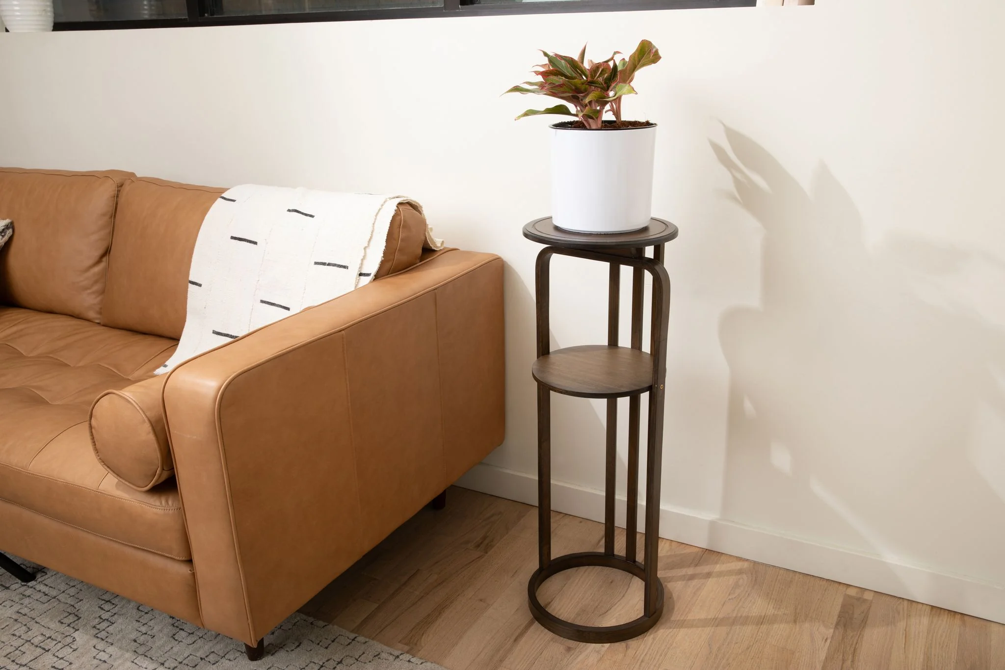 Regalia Plant Stand - Image 3