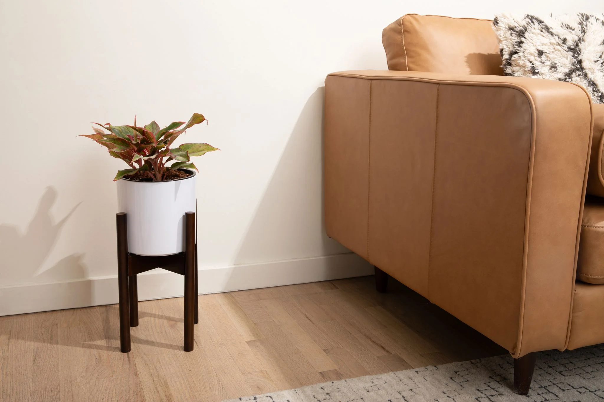 Legacy Plant Stand - Image 3