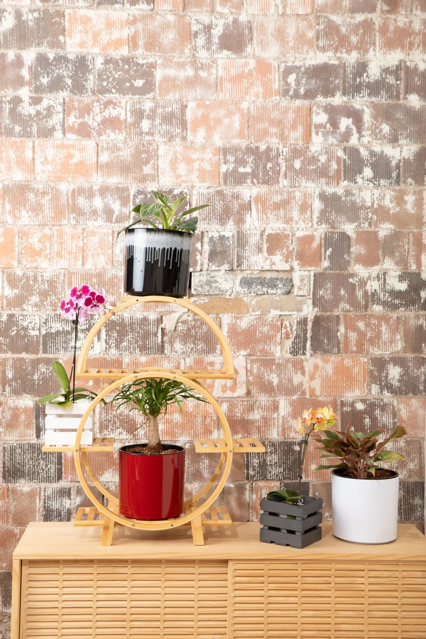 Lunette Plant Stand - Image 2