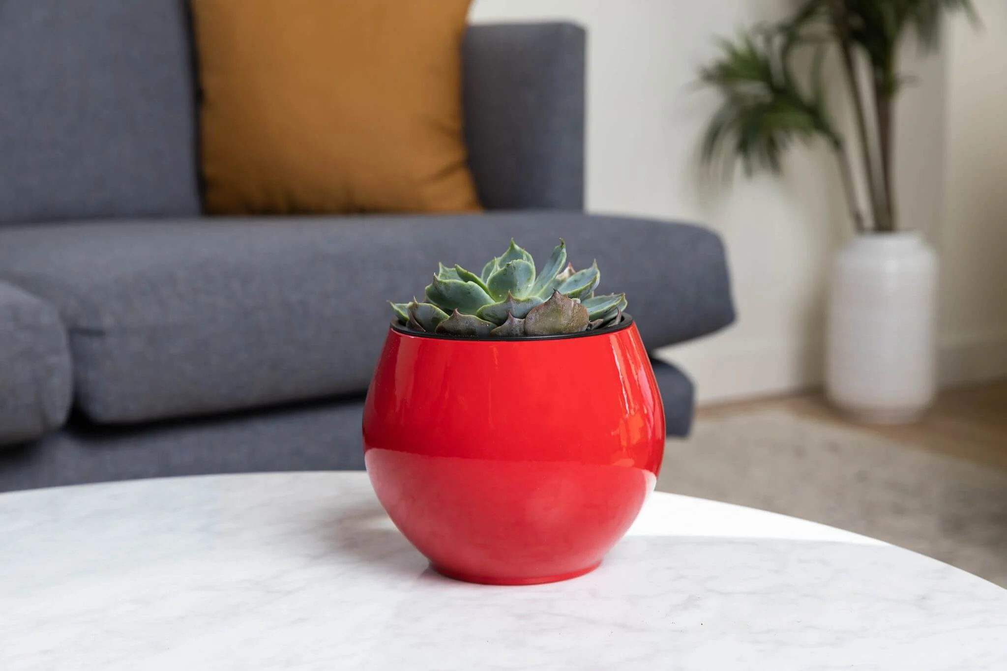 6 inch Aqua Core Self Watering Pot - Ruby Red - Image 3