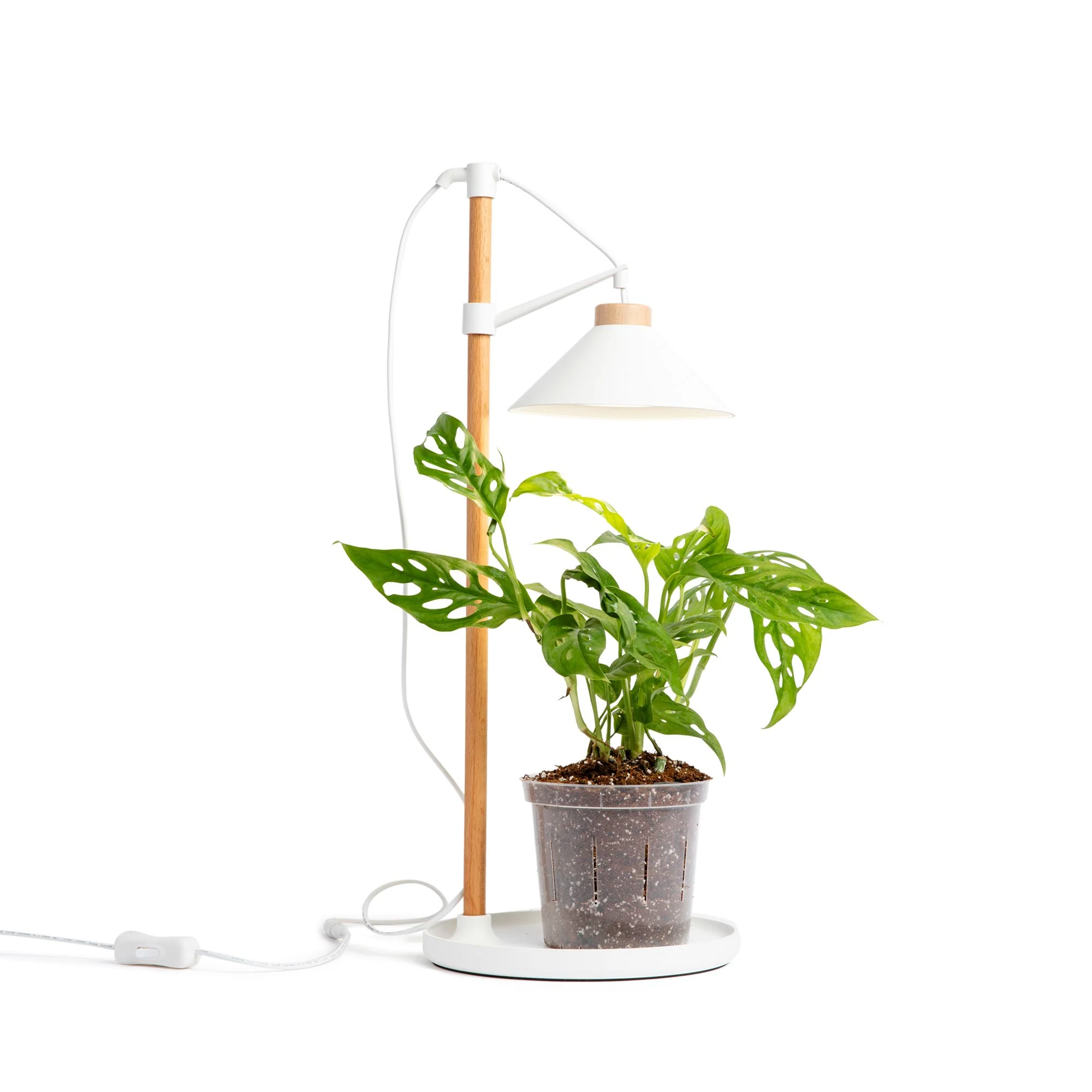 Lumina Glow – Full Spectrum LED Grow Light