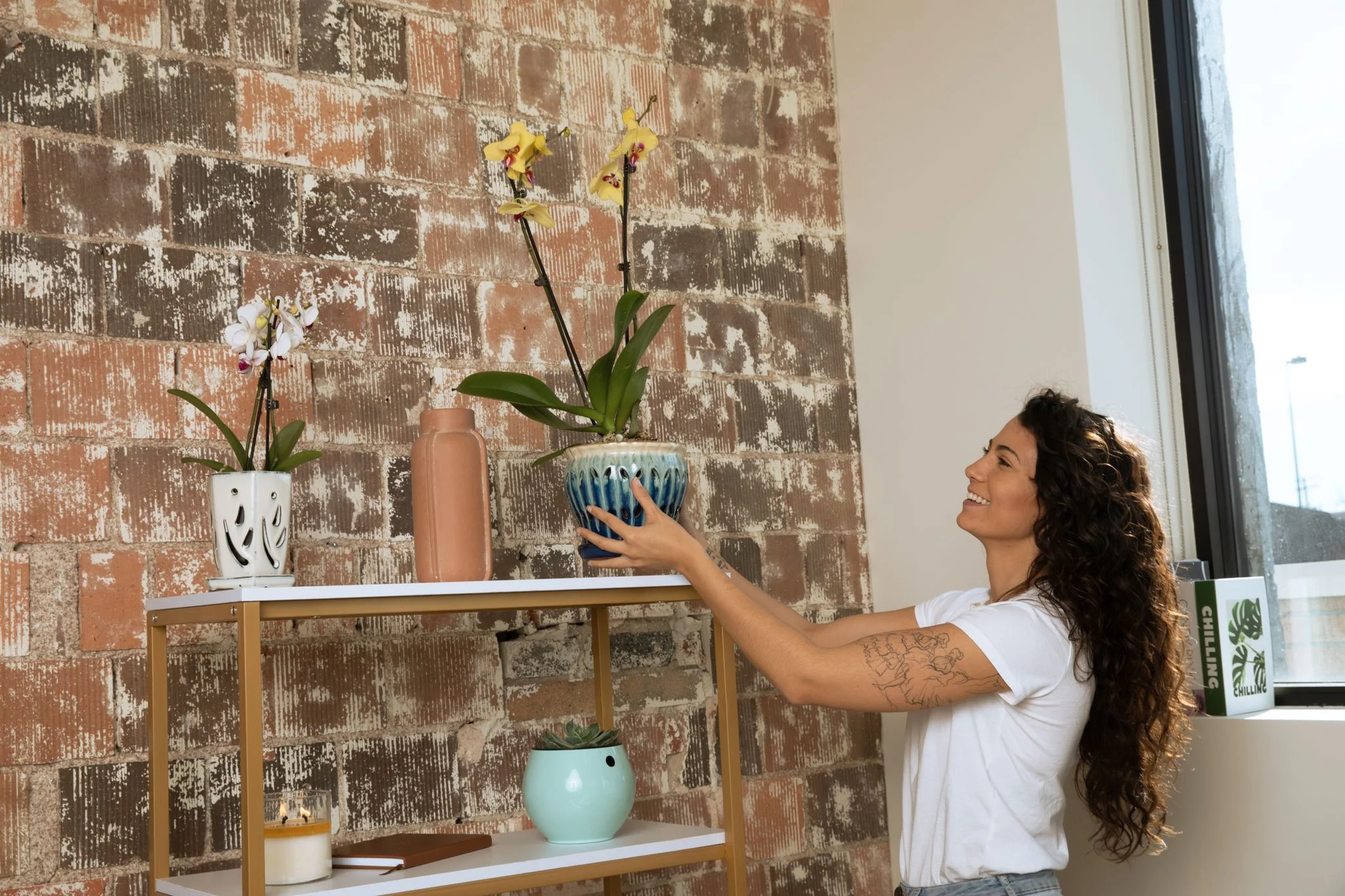 All Purpose Orchid Value Mix - Image 3