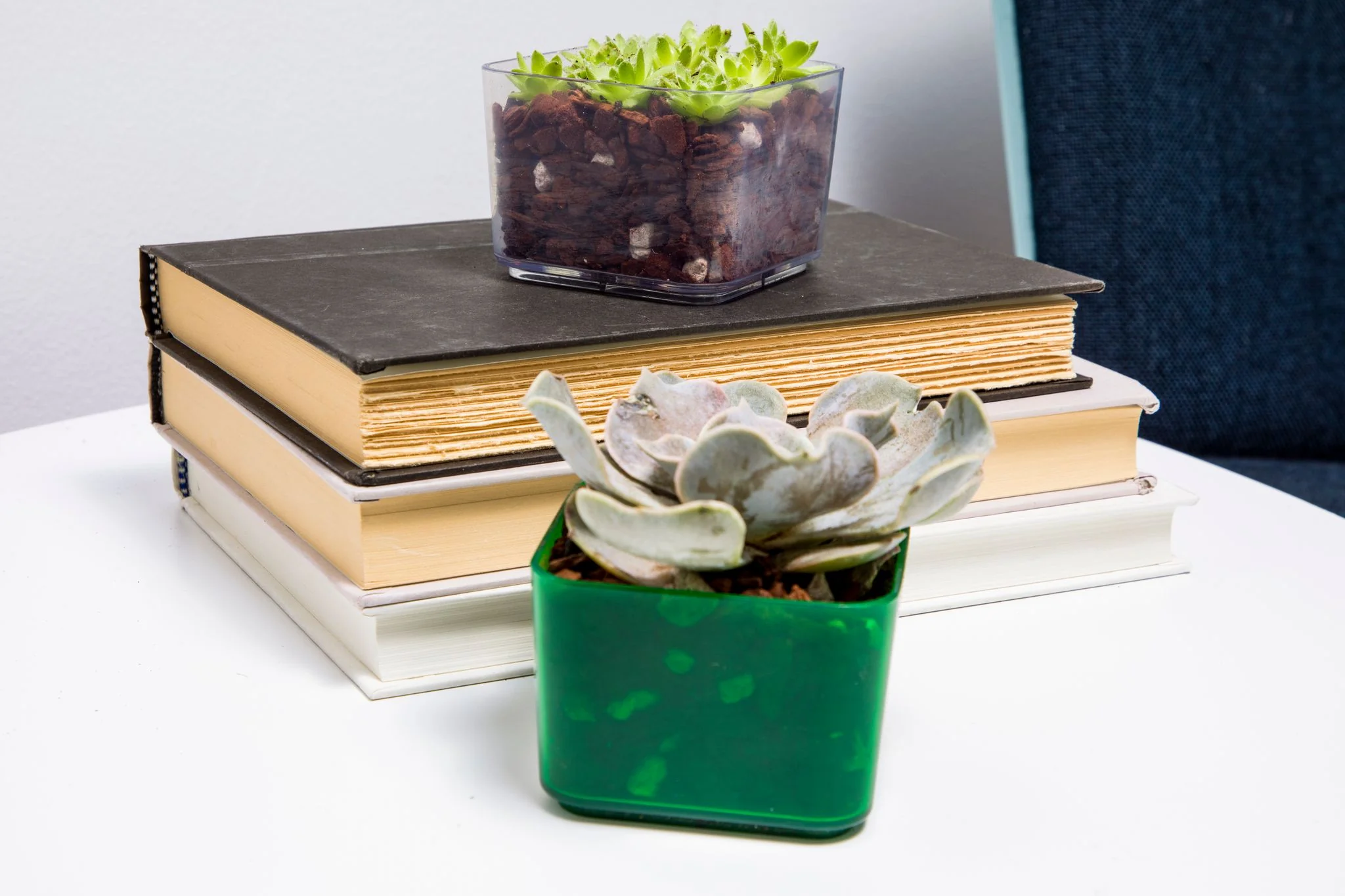 3" Green Emerald Succulent Pot - Image 3