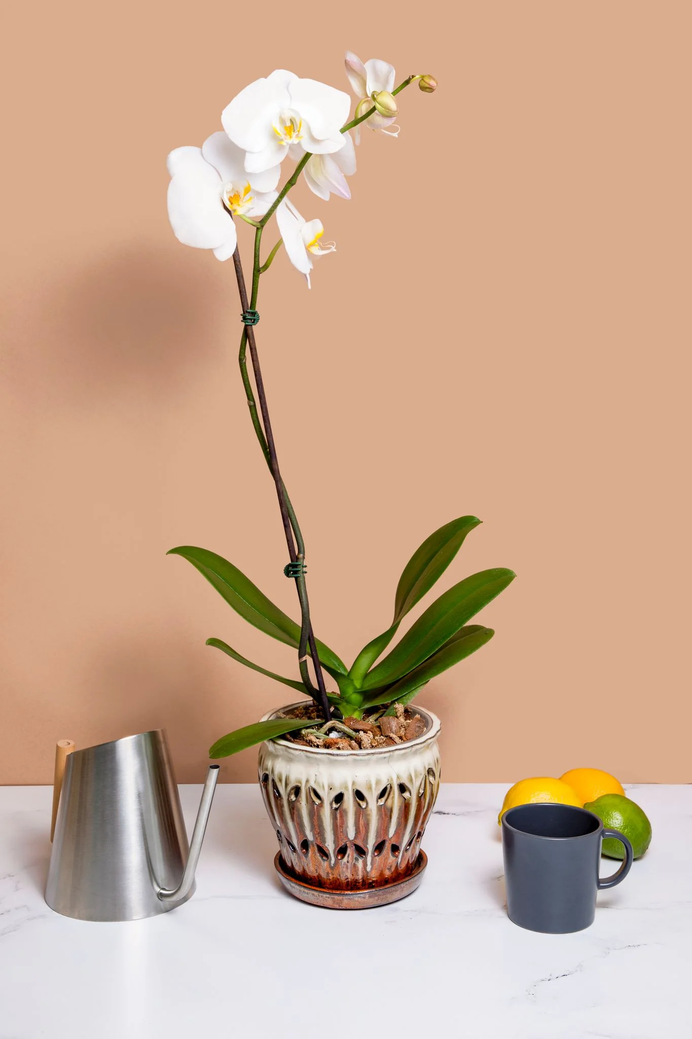 6" Honey Cream Over Copper Pinwheel Fluted Orchid Pot - Image 3