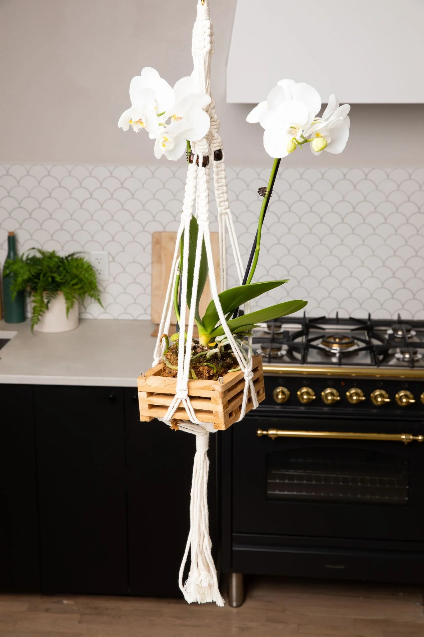 Vanda Basket - 8 inch - Image 2