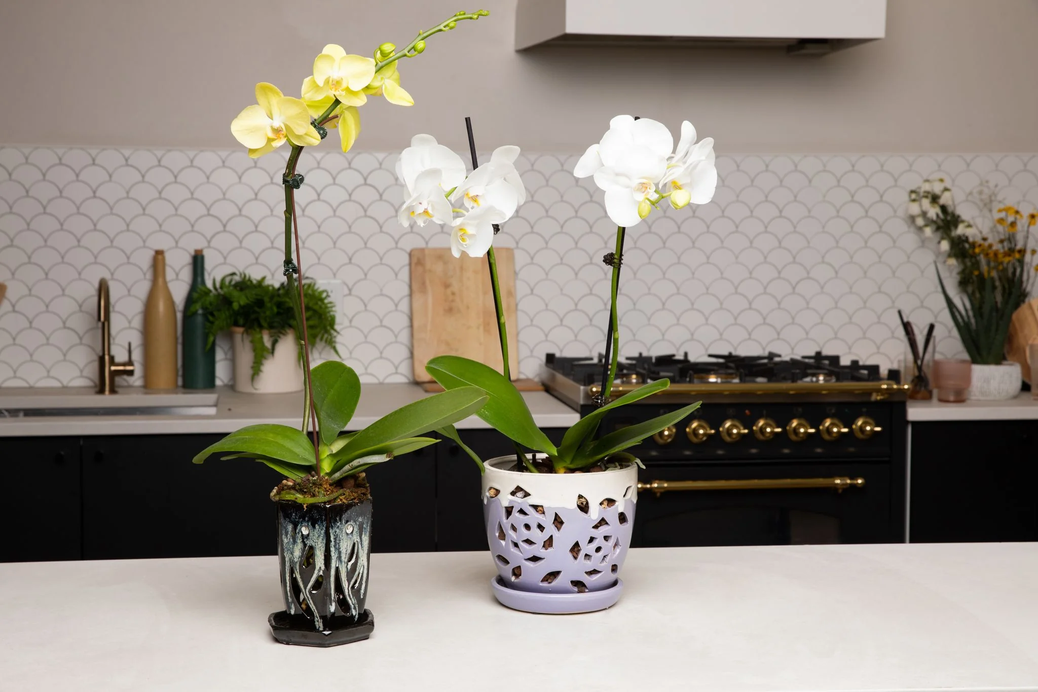 4" x 6" Honey Cream Over Coffee Fluted Hexagon Ceramic Orchid Pot - Image 2