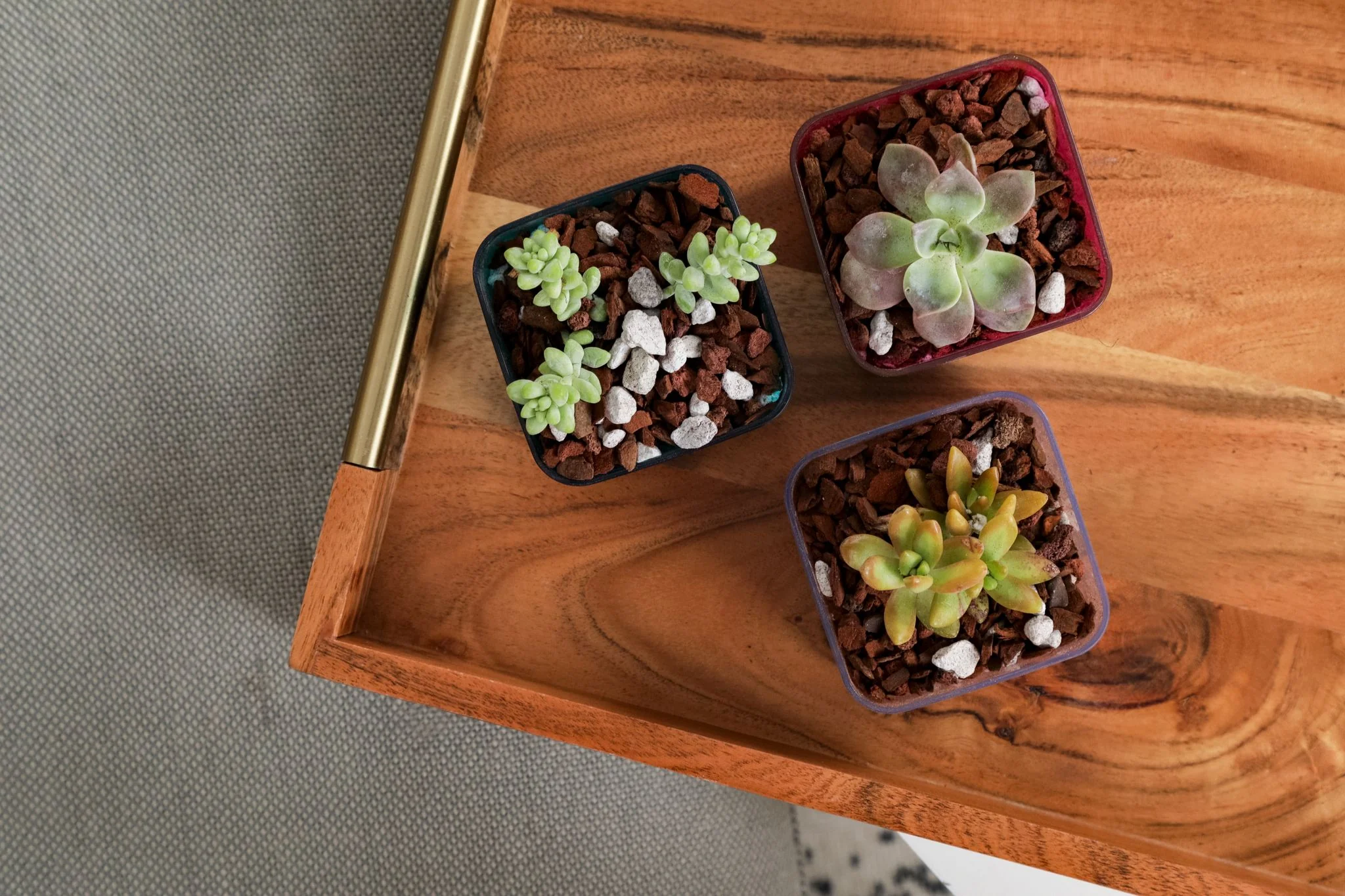 3" Blue Sapphire Succulent Pot - Image 3