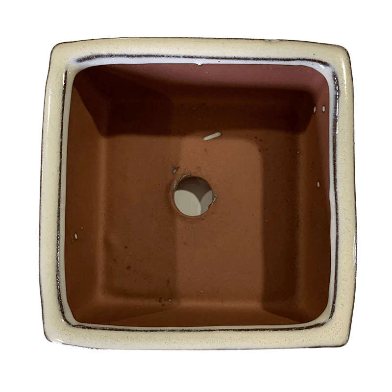 4" White Diamond Square Ceramic Succulent Pot With Decorative Bamboo Saucer - Image 2